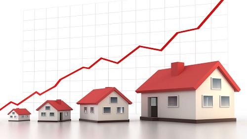 What Are Property Lines in Real Estate?